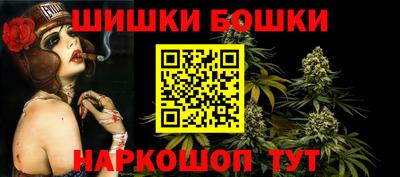 a pvp Камышлов