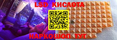 a pvp Камышлов