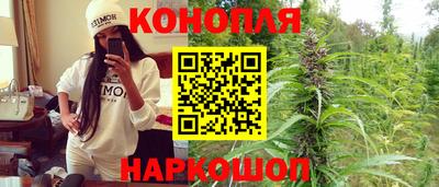 a pvp Камышлов