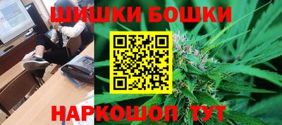 a pvp Камышлов