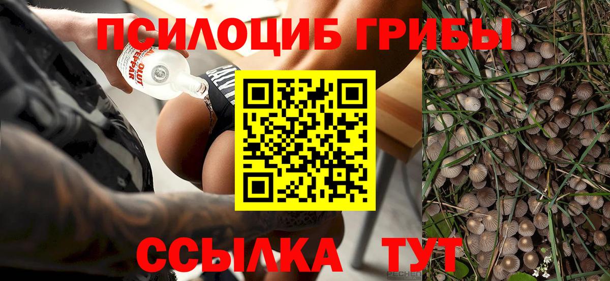 Галлюциногенные грибы мухоморы Кудрово