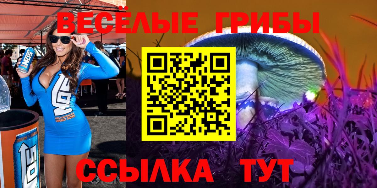 Кудрово  Галлюциногенные грибы мицелий  Вход с VPN 