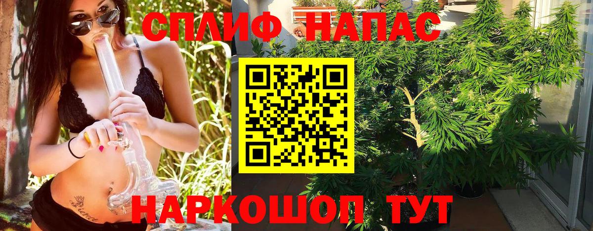 МАРИХУАНА Amnesia  Бошки марихуана Ganja  Вход с VPN  Кудрово 
